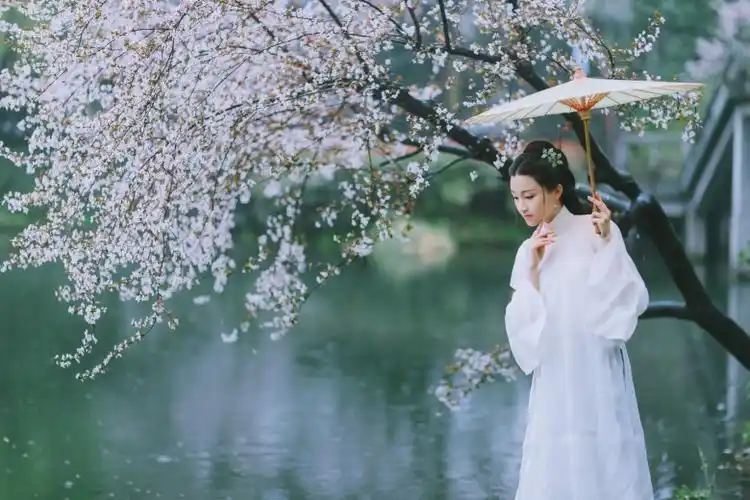 【新山东文学社】《那年杏花微雨》作者/冷月轩主 主播/雨花石（图5）