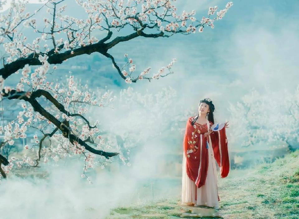 【新山东文学社】《那年杏花微雨》作者/冷月轩主 主播/雨花石(图4)