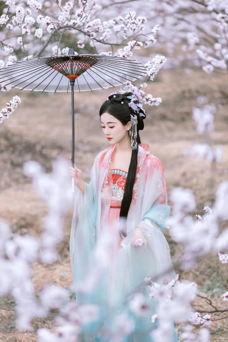 【新山东文学社】《那年杏花微雨》作者/冷月轩主 主播/雨花石(图6)