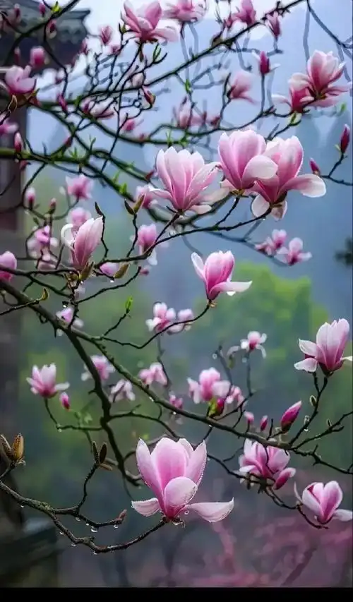 对句练习（22）‖巴彦诗词楹联协会【896】（图4）