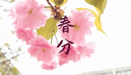 【神都诗社】第117期《春分》(图7)