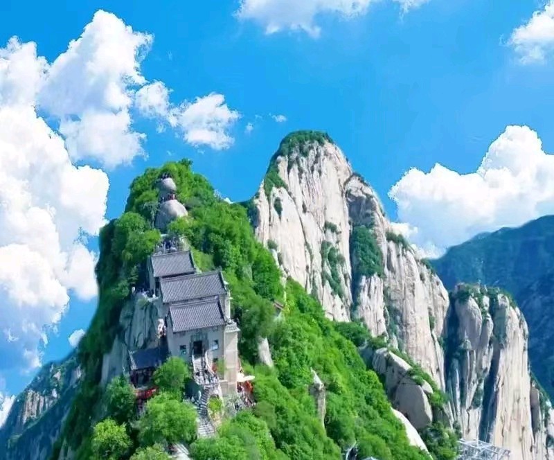 【上海头条】古韵飘香210期‖每旬题图（图14）