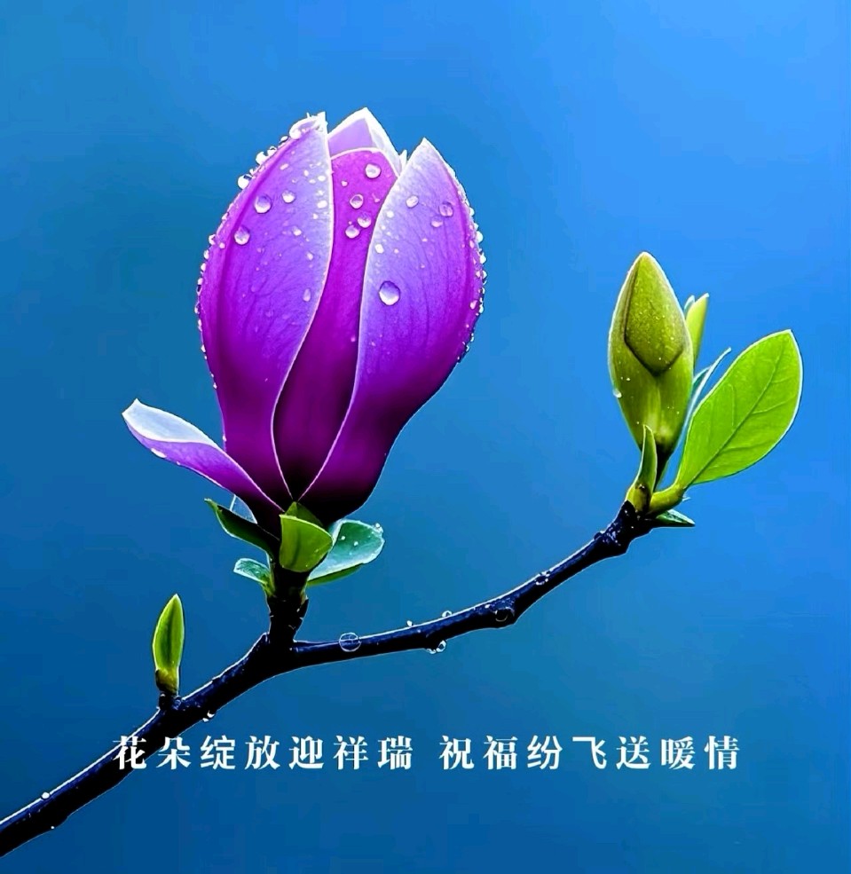 著名作家韩春久《春天在哪里》（图3）