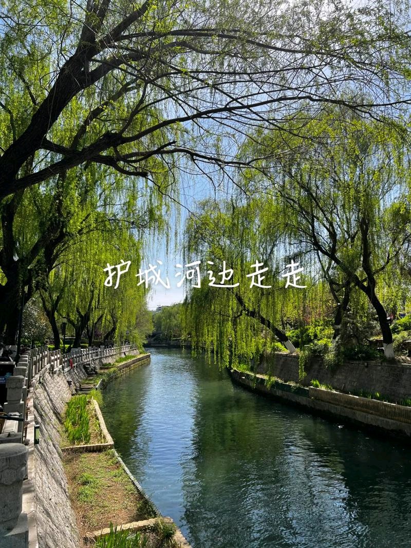 著名作家韩春久《春天在哪里》（图4）