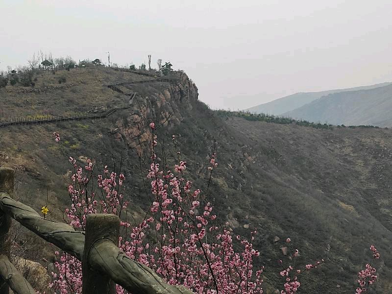 万安山春火 原作/梁立锋（图9）