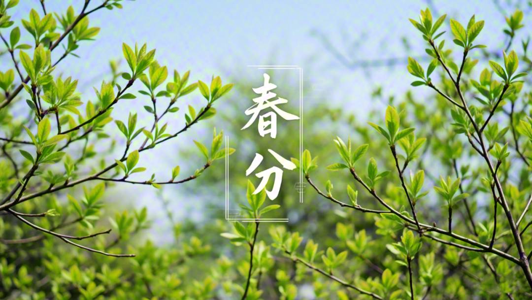 七绝·春分文/吴应福