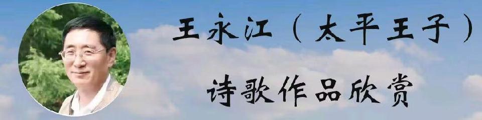 太平王子现代诗专辑【二】/中华诗艺社黑龙江分社【2025第106期】（图6）