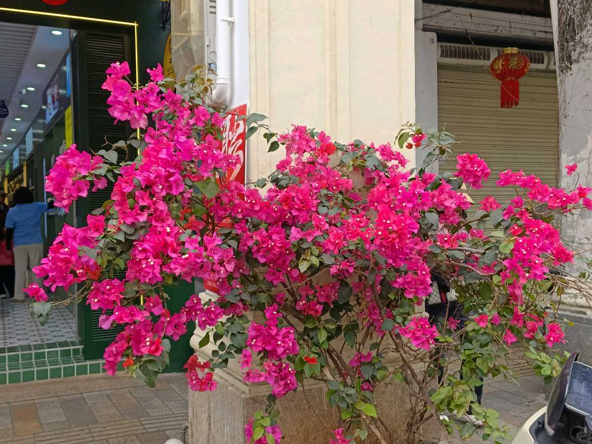 【中华作家】每周诗词榜35(图6)