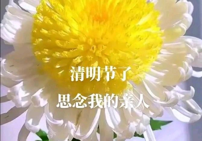 祖父祖母～诗||心枫（图10）