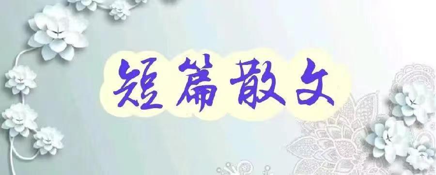 【荣耀中国】——周刊第194期(图9)