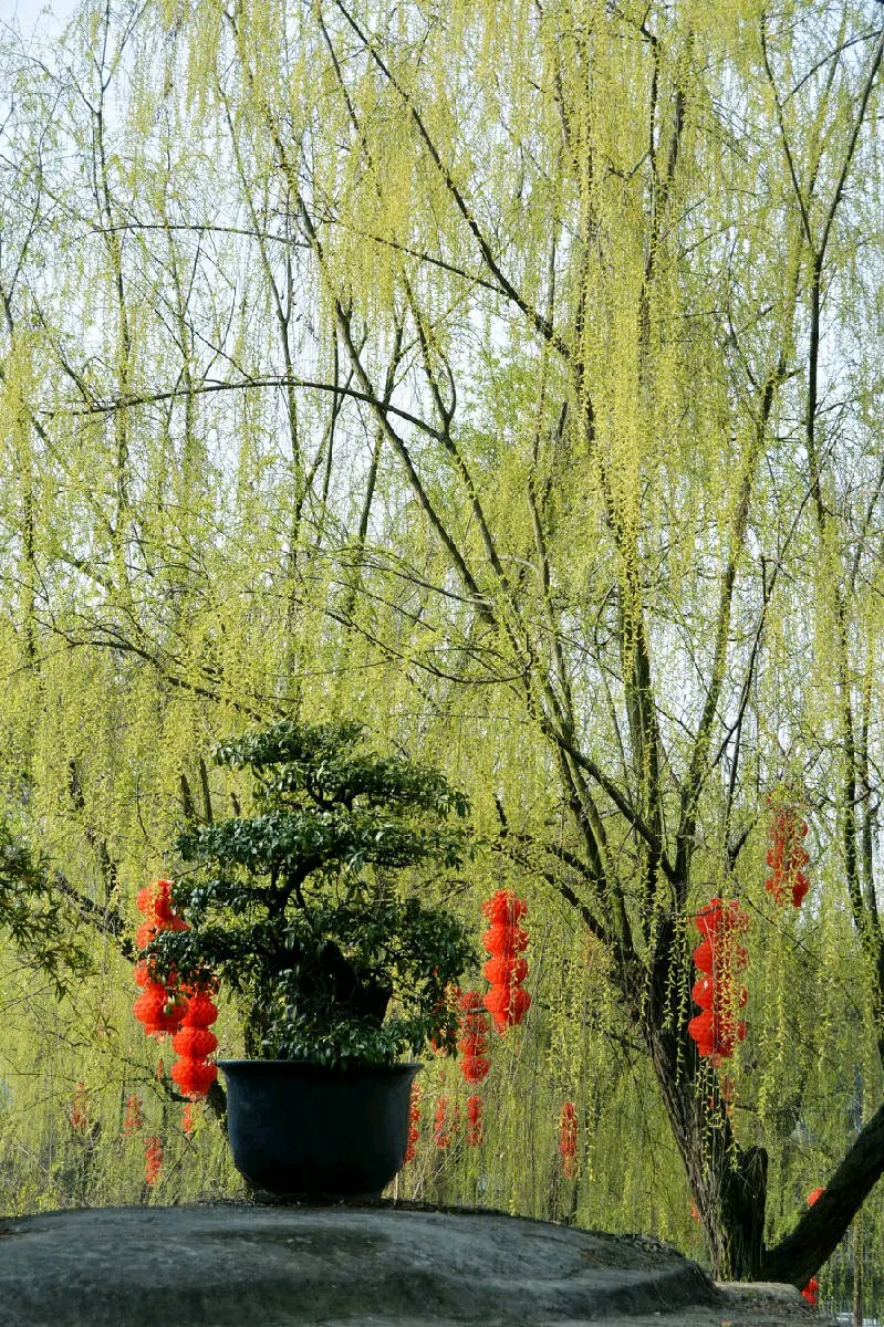 《著名现代诗人刘文波现代古诗词七律新作》作者：刘文波 [中国现代诗歌文化传媒]（图7）