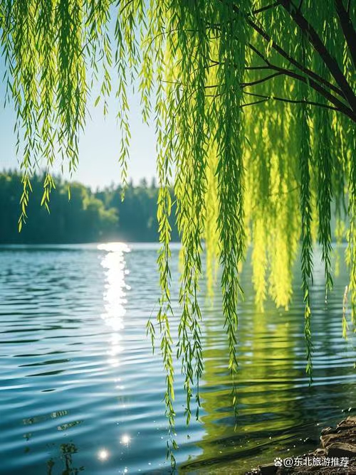 七律·春兴题望（文/冯清明）……莲叶之珠文学社（图4）