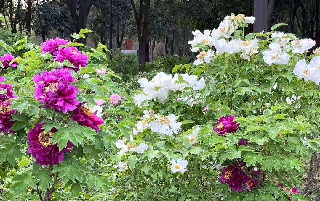 时光的足迹