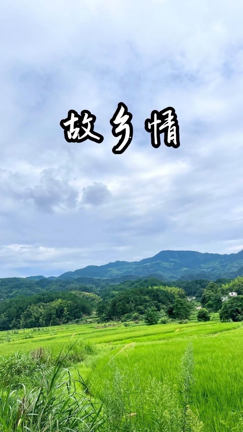 故乡从不流泪：作者||王永萍｜海外头条（图5）