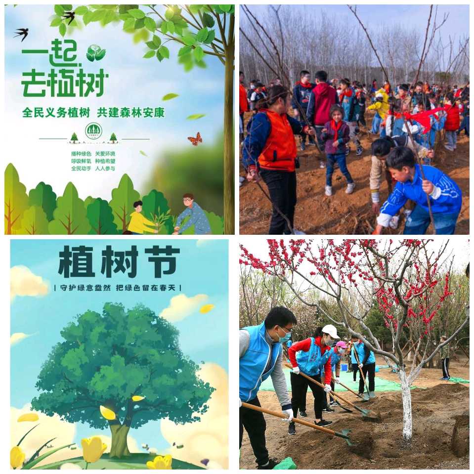 【经典推荐】廖万友老师//七律•贺全国两会胜利召开[系列作品展]（图4）
