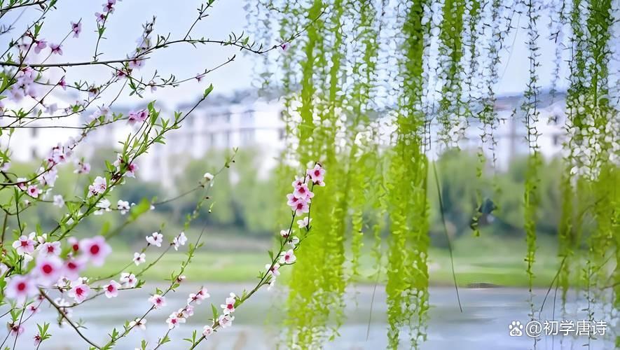 【新山东文学社】《春柳袅如烟(十首)》作者/剑如虹 主播/红叶(图3)