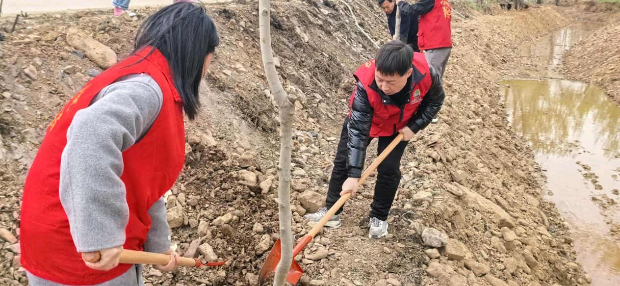 河南叶县中医院参加卫生健康系统绿色植树志愿者活动(图3)
