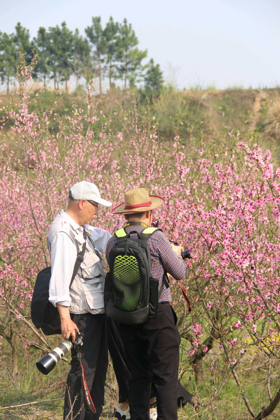 银发老人春季摄影班教学与实践活动采风手记（图18）