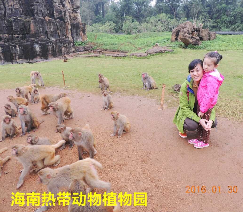 海口热带动物植物园～诗||李耀文（图15）