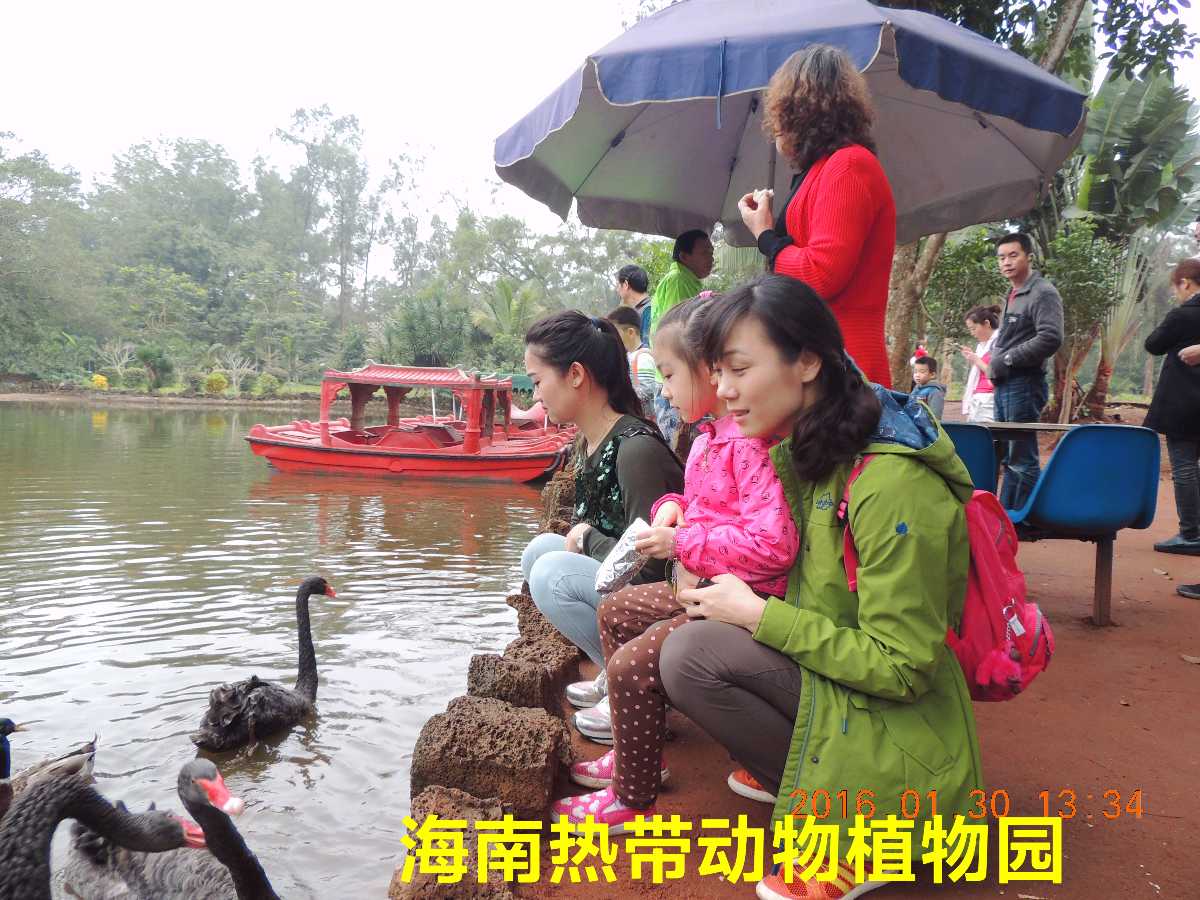海口热带动物植物园～诗||李耀文（图16）