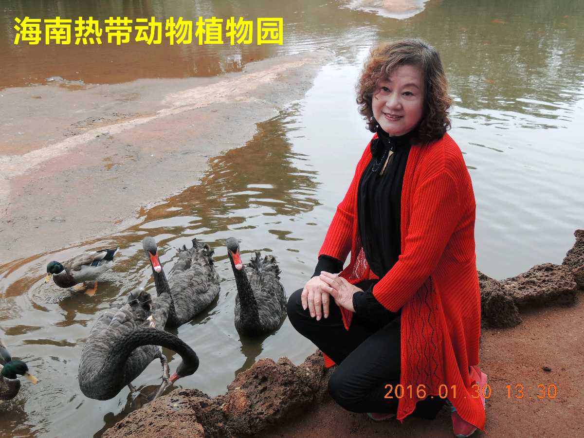 海口热带动物植物园～诗||李耀文（图18）