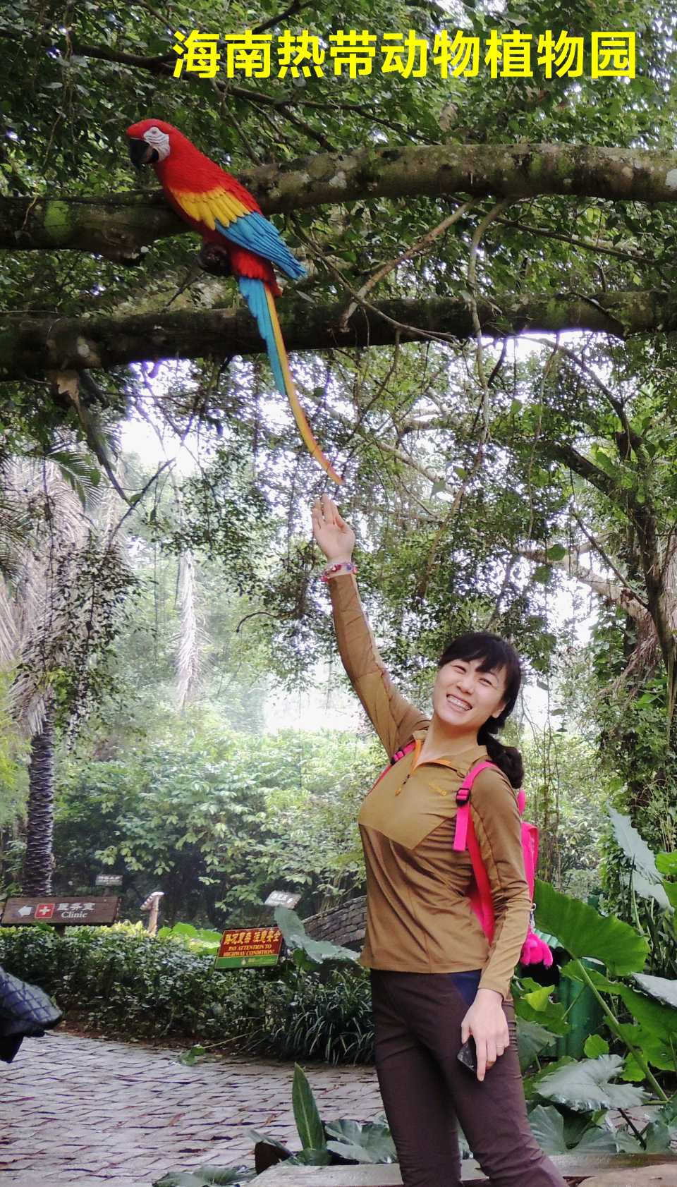 海口热带动物植物园～诗||李耀文（图30）