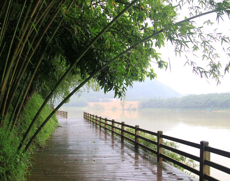 三月诗词五首/张昕（图5）