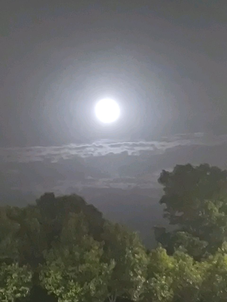 忆江南 明月夜 原作/梁立锋
