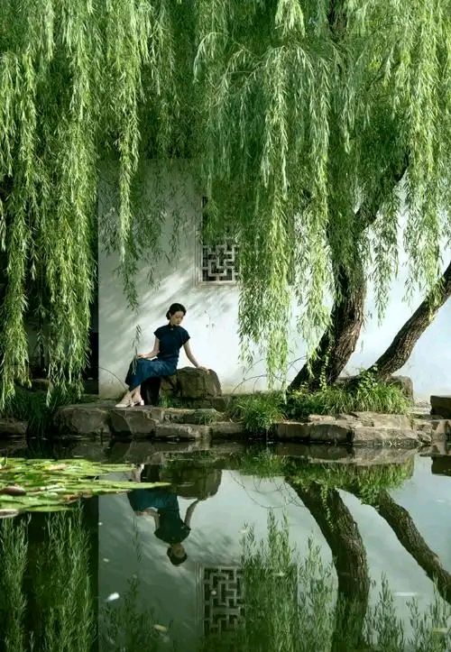 七绝-柳浪闻莺（外一首）诗||旗袍（图16）