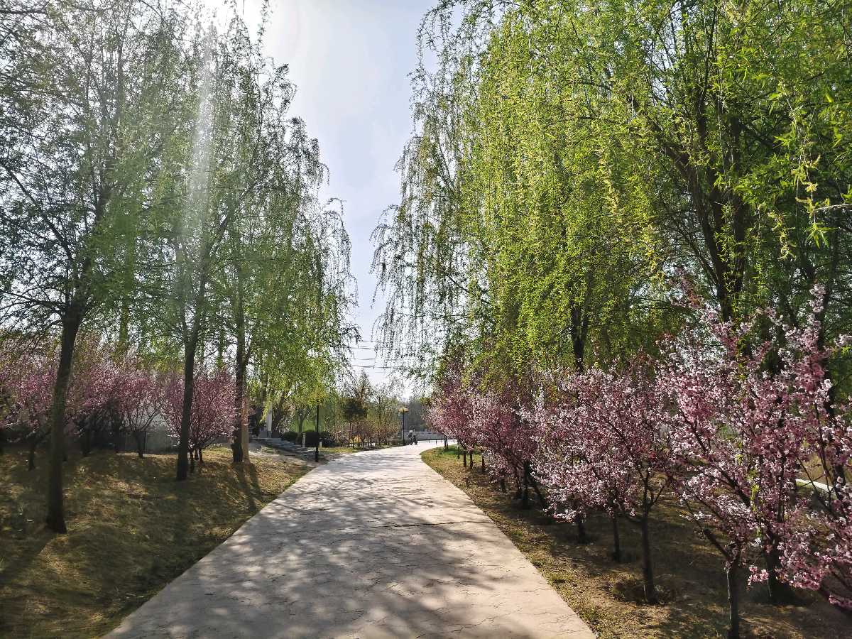 【故道文化·6505】张光山诗作《春游》（图9）