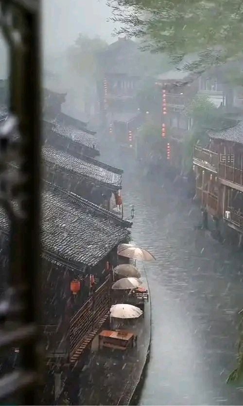 七律-寒潮遇雨～诗||雅轩琴韵（图14）