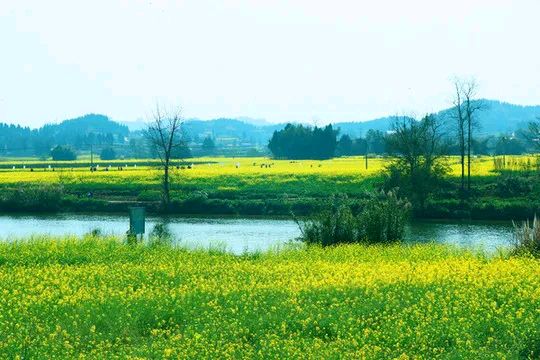 郝秀建的《铜山迎亲友》