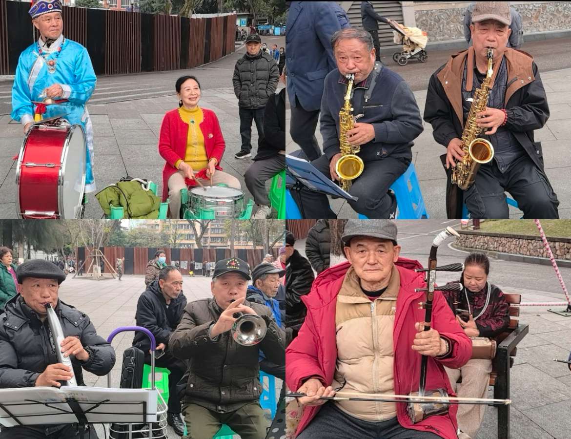 「散文」春天的演唱会(图3)