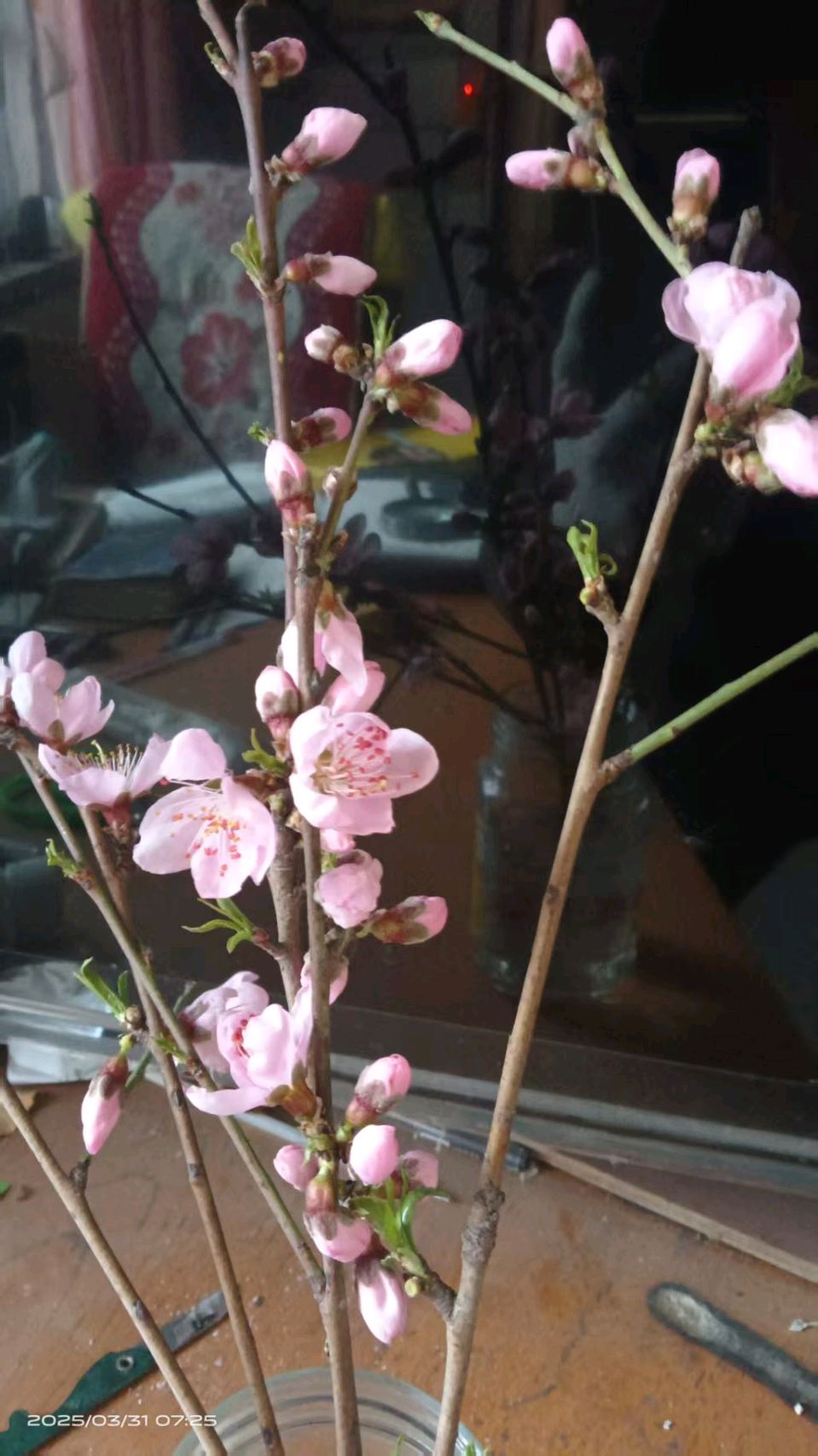 【故道文化·6517】张荣岐诗作《桃花艳》（图2）