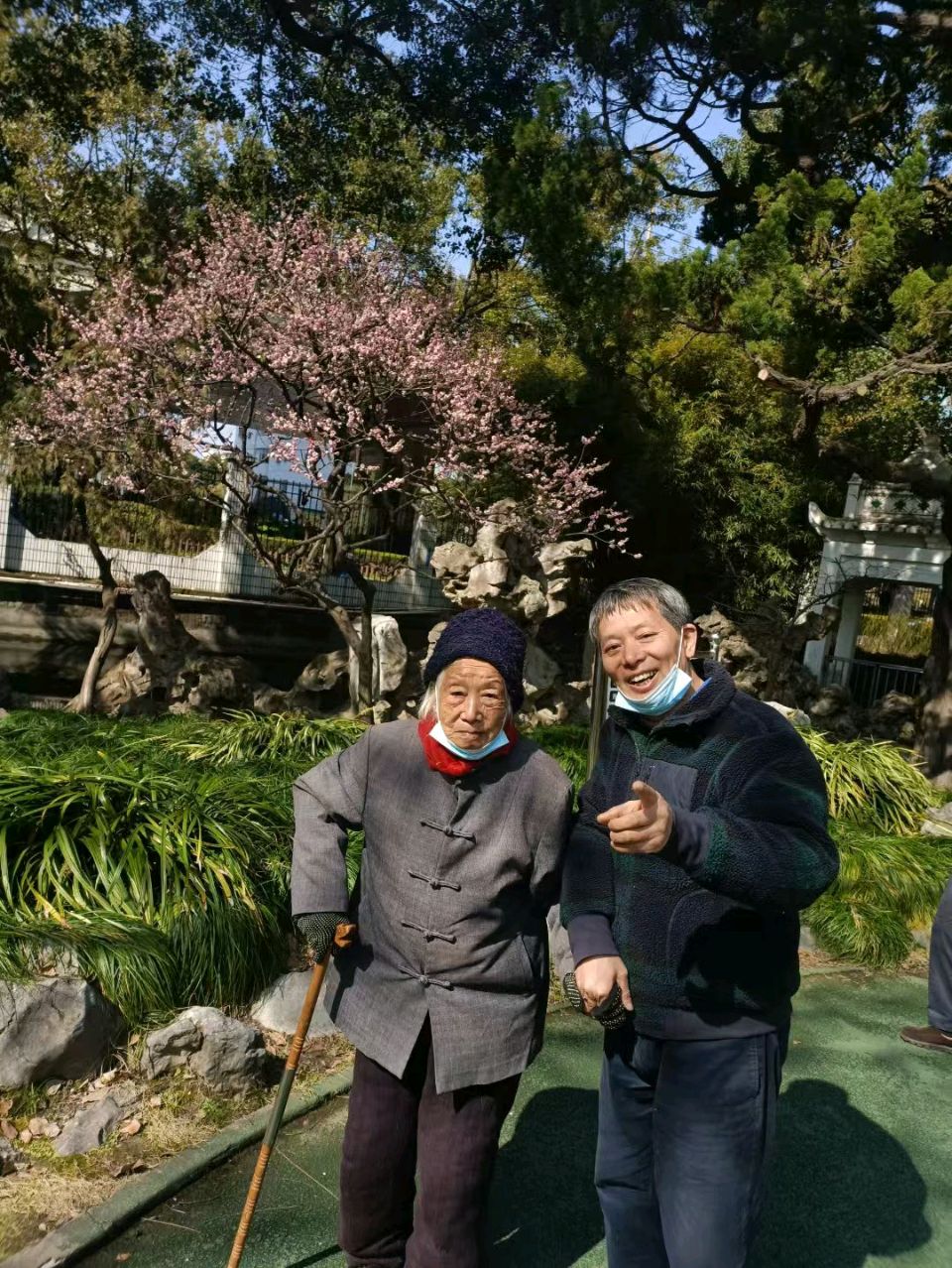 蝶恋花-沪漕溪公园赏百年牡丹又思母* 文/冯志清（上海）【冰心文化传媒】（图17）