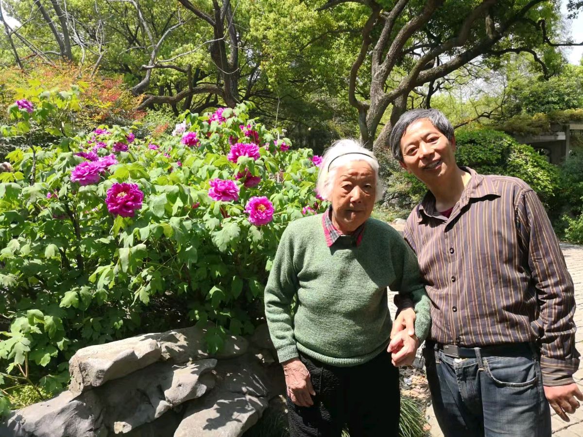 蝶恋花-沪漕溪公园赏百年牡丹又思母* 文/冯志清（上海）【冰心文化传媒】（图20）