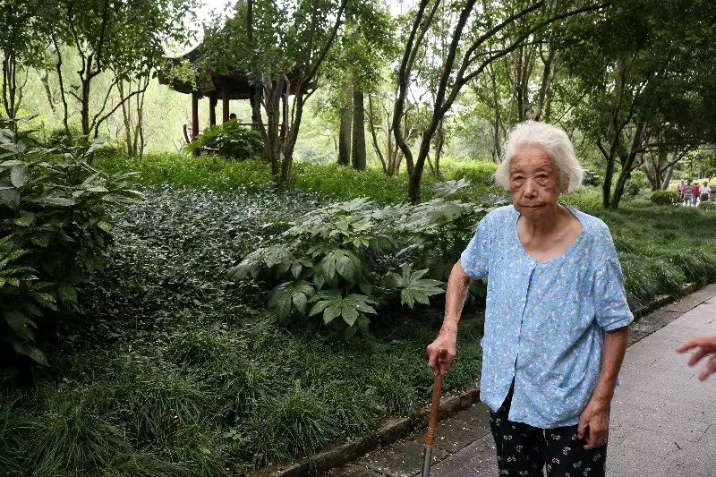蝶恋花-沪漕溪公园赏百年牡丹又思母* 文/冯志清（上海）【冰心文化传媒】（图16）