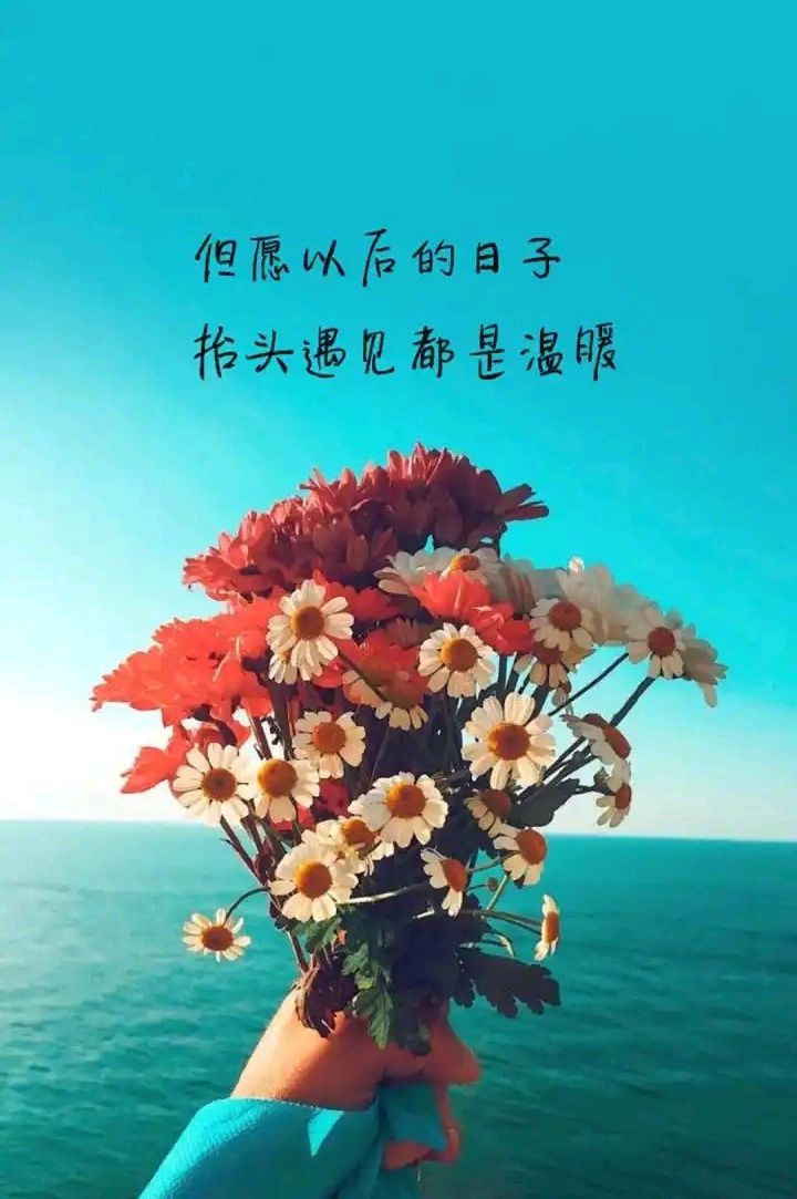 遇见是温暖的～作者||汪天天～导师||魏兴付（图14）