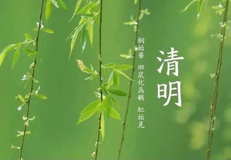 【新诗大观】清明祭（微型组诗）||文/胡有琪（图2）