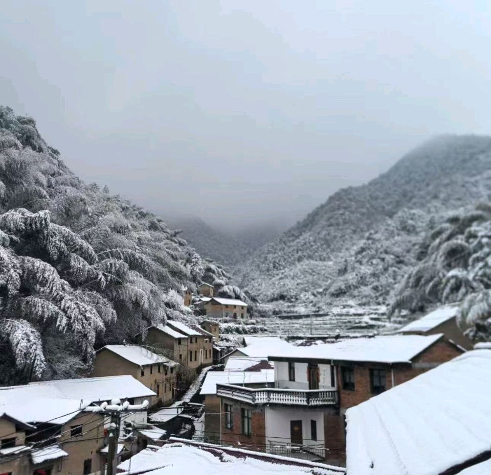 （散文）三月的雪||古梁