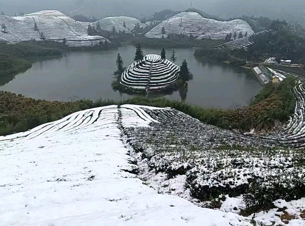 （散文）三月的雪||古梁（图2）