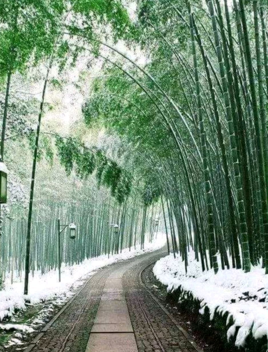 沁园春：雪（外五阕）