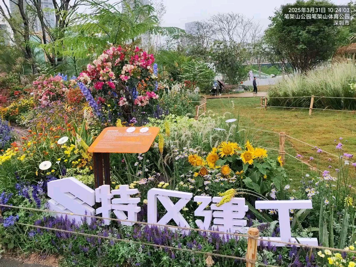 大湾区花展~诗三首/詹成（图6）