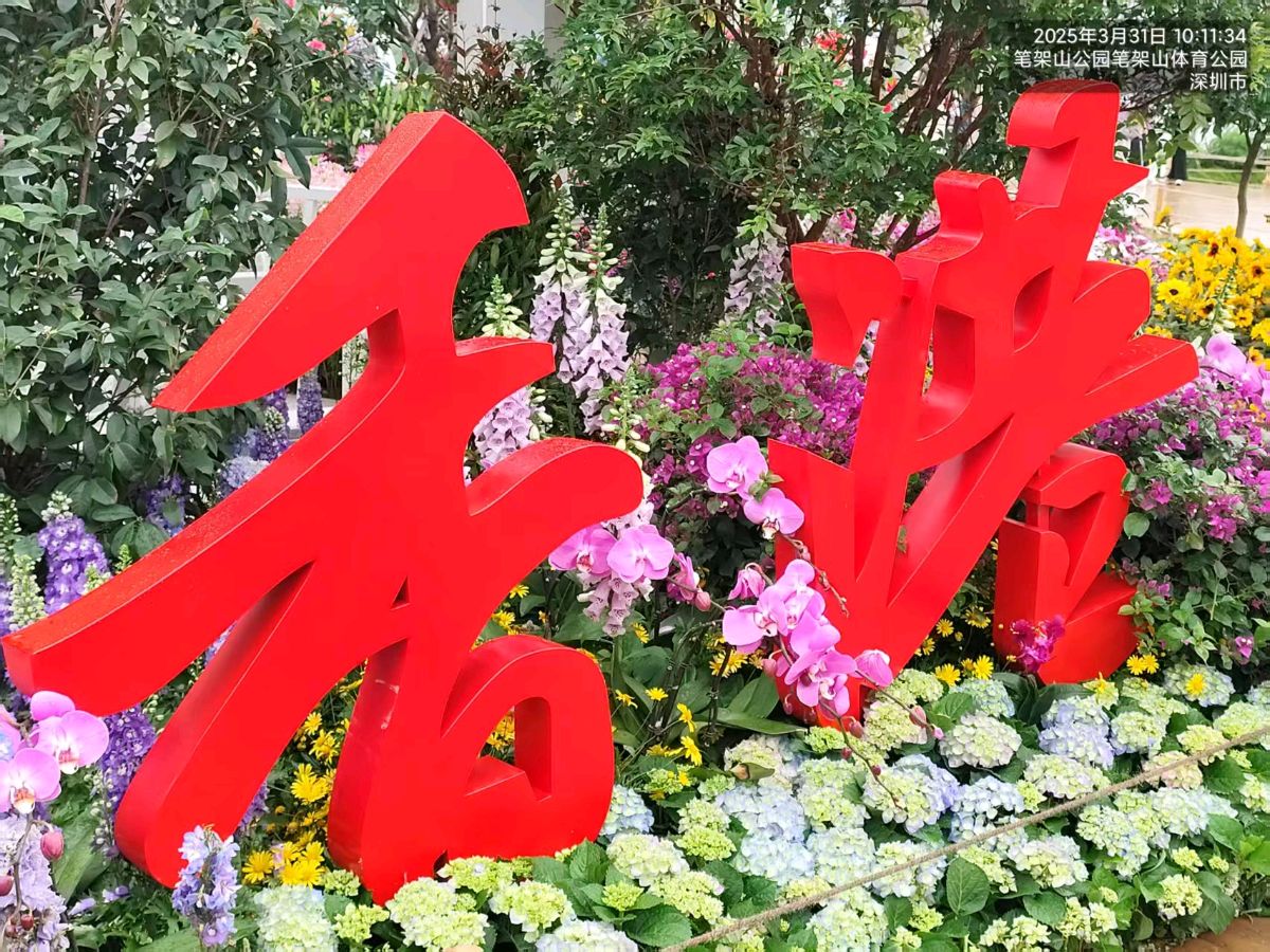大湾区花展~诗三首/詹成（图16）