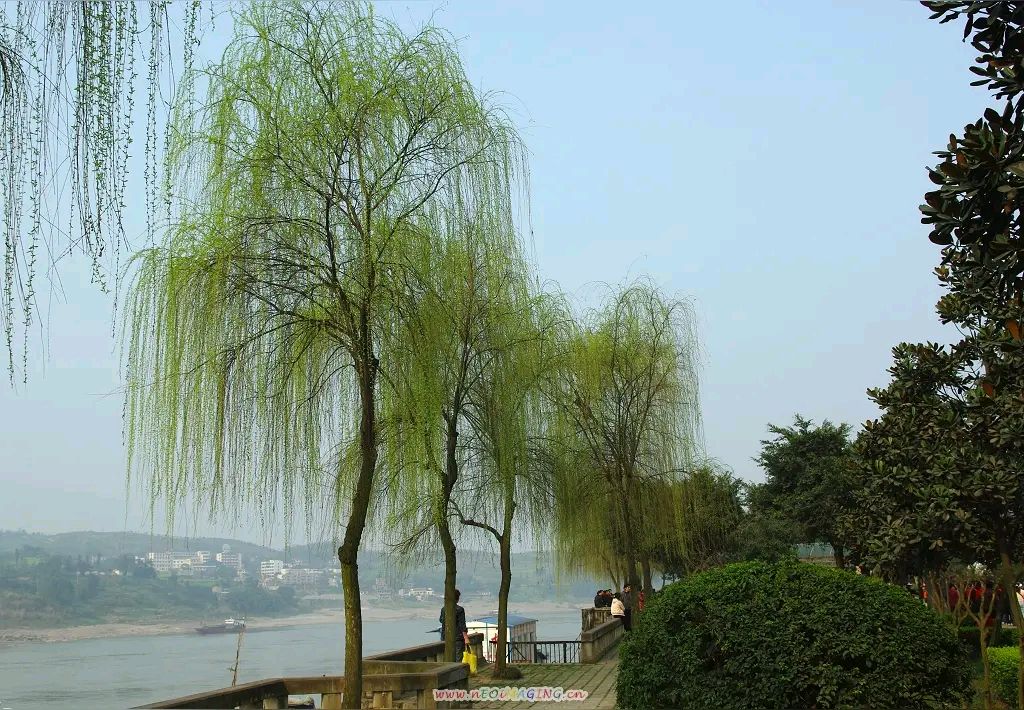 《刘文波著名现代诗人现代古诗词鉴赏》作者：刘文波 [中国现代诗歌文化传媒]（图8）