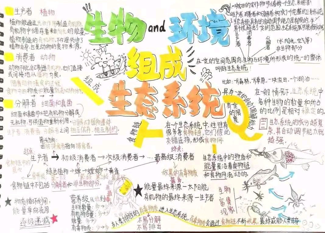 实达大先生苏建荣：知识梳理工具在生物课堂中的实践突破（图3）