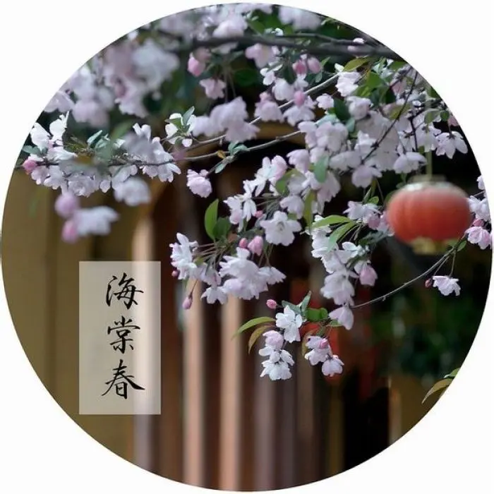 《诗词十首》作者：龙游天下 [中国现代诗歌文化传媒]（图7）