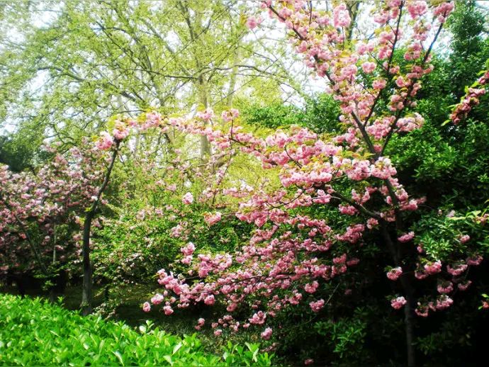 《诗词十首》作者：龙游天下 [中国现代诗歌文化传媒]（图12）