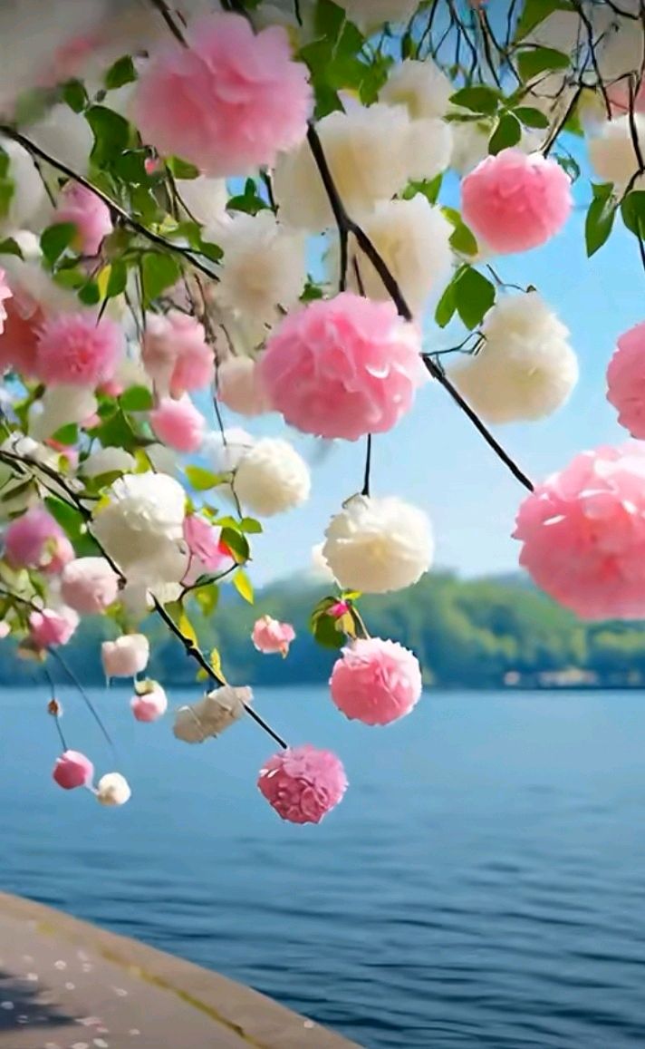 七律-最美人间四月天～诗||雅轩琴韵（图24）