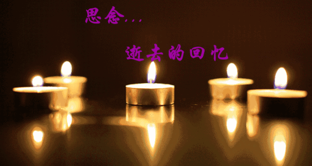 七律· 清明 文/殷建华（图3）